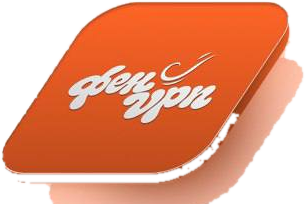 Fen VPN